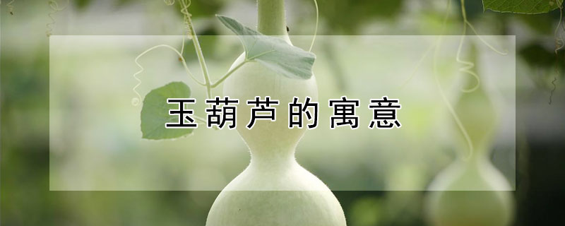 玉葫芦的寓意 女孩戴玉葫芦的寓意