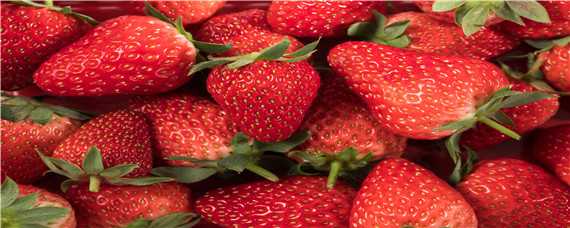 哪个品种草莓最甜 哪个品种草莓最甜度高