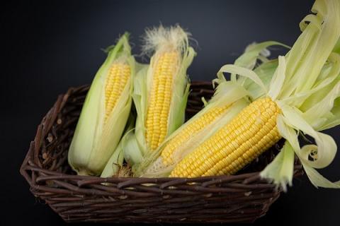 粘玉米的功效与作用 粘玉米的功效与作用及营养价值
