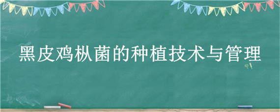 黑皮鸡枞菌的种植技术与管理（黑皮鸡枞菌人工种植）