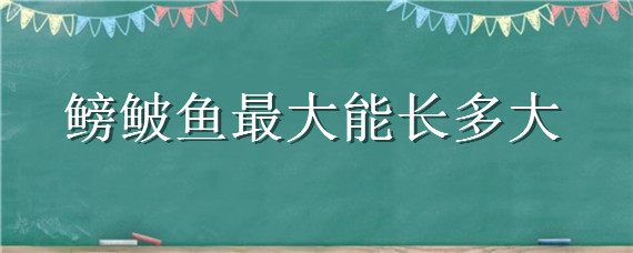 鳑鲏鱼最大能长多大（鳊鱼最大能长多大）