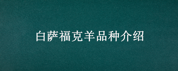 白萨福克羊品种介绍 萨福克羊和澳洲白羊哪个品种好