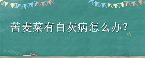 苦麦菜有白灰病怎么办（苦麦菜长白霉怎么办）