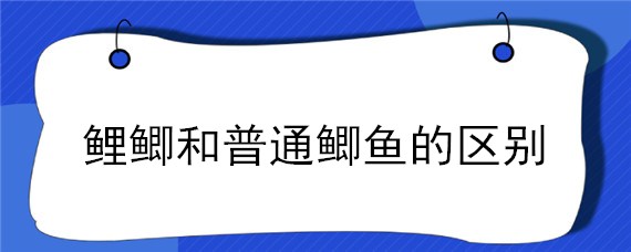 鲤鲫和普通鲫鱼的区别 鲤鱼与鲤鲫的区别