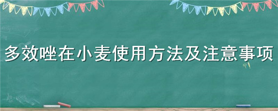 多效唑在小麦使用方法及注意事项 小麦喷施多效唑