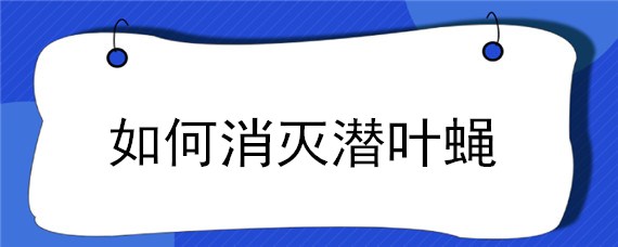 如何消灭潜叶蝇（如何杀潜叶蝇）