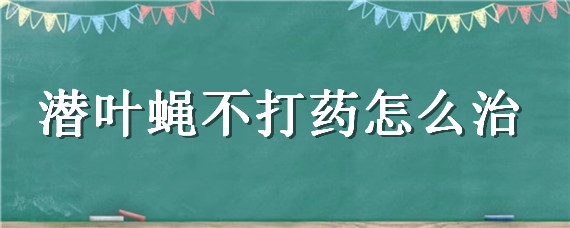 潜叶蝇不打药怎么治 潜叶蝇怎么治疗