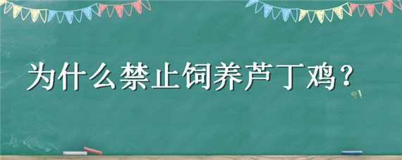 为什么禁止饲养芦丁鸡（芦丁鸡是否禁养）