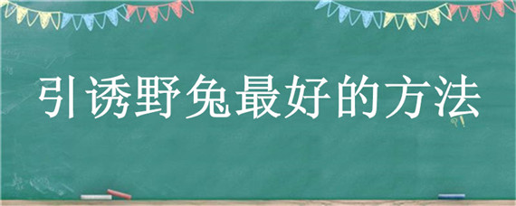 引诱野兔最好的方法 如何引诱野兔