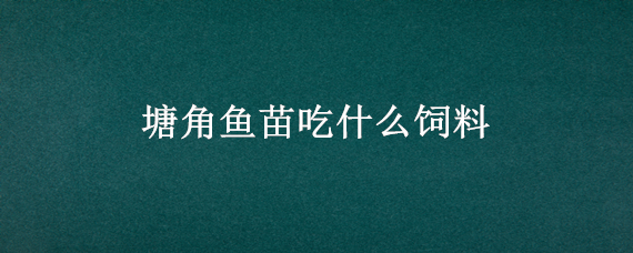 塘角鱼苗吃什么饲料 塘角鱼怎么喂养