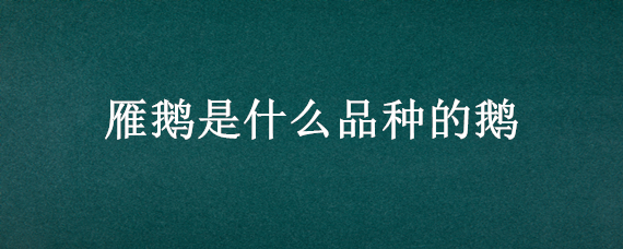 雁鹅是什么品种的鹅（雁鹅的产地）