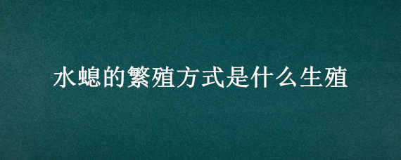 水螅的繁殖方式是什么生殖（水螅的生殖方式有哪些）