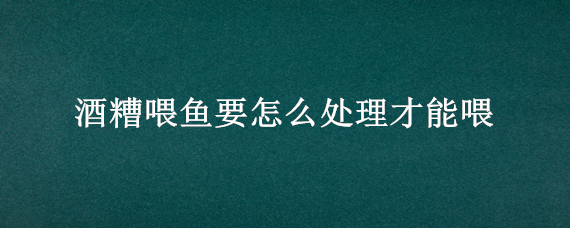 酒糟喂鱼要怎么处理才能喂（米酒糟喂鱼如何处理）