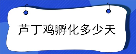 芦丁鸡孵化多少天（芦丁鸡孵化多少天喷水）