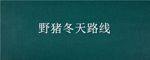 野猪冬天路线 野猪冬天在哪里活动