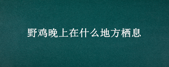 野鸡晚上在什么地方栖息 野鸡晚上栖息在哪里