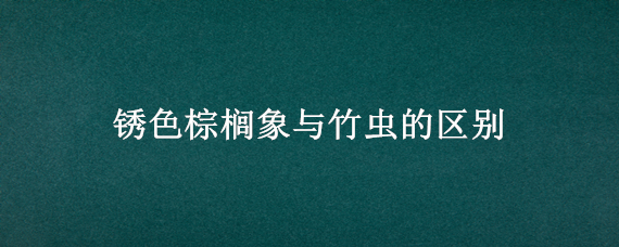 锈色棕榈象与竹虫的区别（锈色棕榈象是竹虫吗）