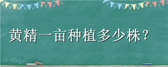 黄精一亩种植多少株 黄精一亩栽多少株