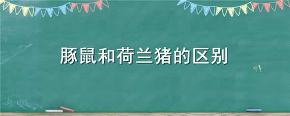 豚鼠和荷兰猪的区别 豚鼠和荷兰猪是一个品种吗