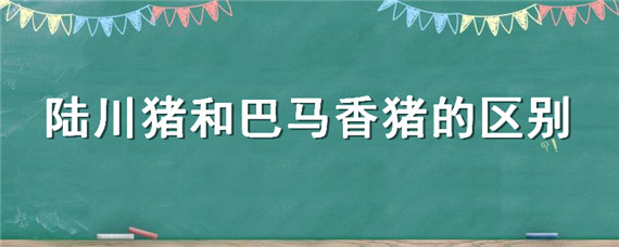 陆川猪和巴马香猪的区别 陆川猪配巴马香猪生出什么猪?