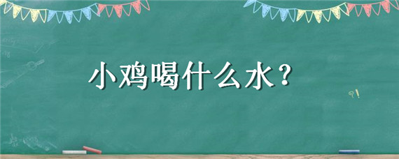 小鸡喝什么水 小鸡喝什么水好