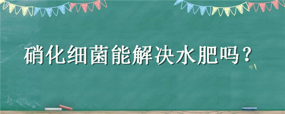 硝化细菌能解决水肥吗（硝化细菌会导致水体过肥吗）