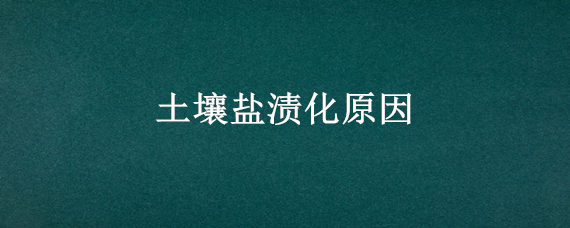 土壤盐渍化原因（土壤盐渍化原因措施植物营养学）