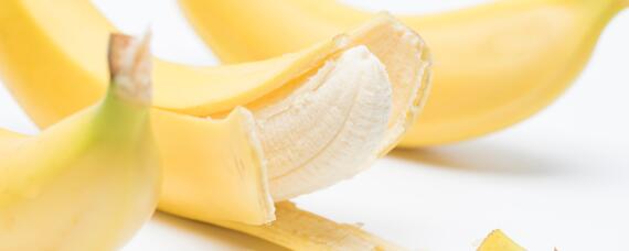 香蕉种植到收获大概多少个月 香蕉从种植到收获大概要几个月
