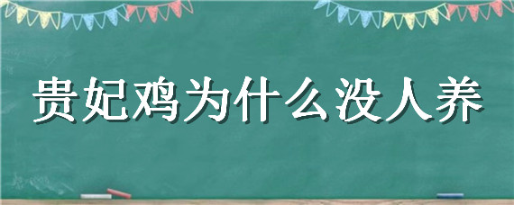 贵妃鸡为什么没人养（贵妃鸡好养吗,肉质怎么样）