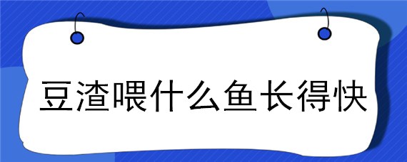 豆渣喂什么鱼长得快（豆渣适合喂什么鱼）