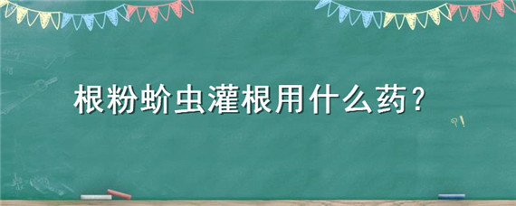 根粉蚧虫灌根用什么药 根粉蚧防治