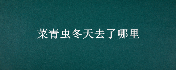 菜青虫冬天去了哪里 菜青虫怎么过冬