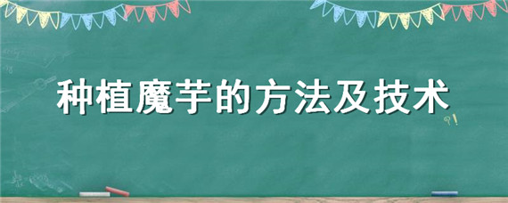 种植魔芋的方法及技术 魔芋的种植技术 魔芋怎么种