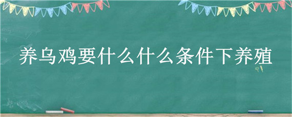 养乌鸡要什么什么条件下养殖（乌鸡养殖技术）