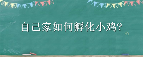 自己家如何孵化小鸡（怎么在家孵化小鸡）