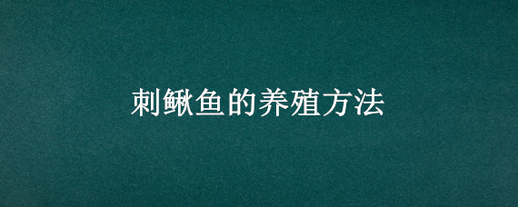 刺鳅鱼的养殖方法 刺泥鳅养殖方法