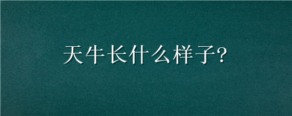 天牛长什么样子? 鹿角天牛长什么样子