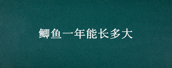 鲫鱼一年能长多大 黄金鲫鱼一年能长多大