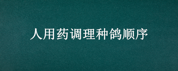 人用药调理种鸽顺序 鸽子调理顺序和用药