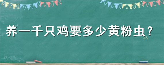 养一千只鸡要多少黄粉虫（3000只鸡养多少黄粉虫）