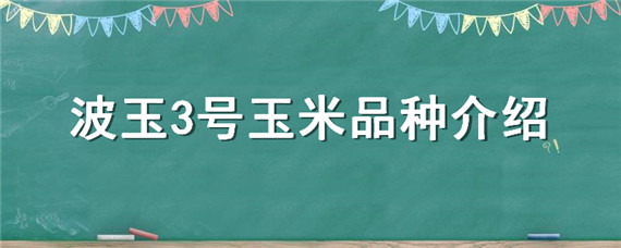 波玉3号玉米品种介绍（玉米种子波玉3经销商）