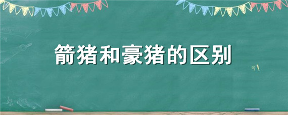 箭猪和豪猪的区别 箭猪是什么?