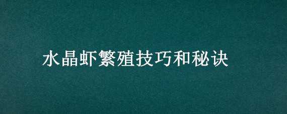 水晶虾繁殖技巧和秘诀（水晶虾怎么快速繁殖）