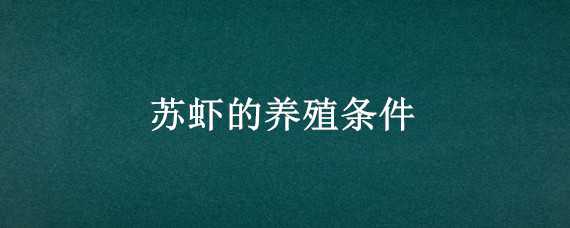 苏虾的养殖条件（对虾养殖条件）