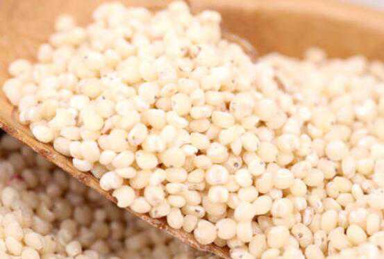 高粱米的功效与作用，高粱米怎么吃（吃高粱米有什么功效）