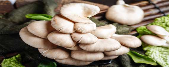 种植平菇技术 种植平菇技术磨菇种植技术