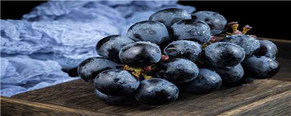 夏黑葡萄种植技术与管理 夏黑葡萄种植方法