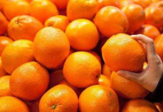 橘子和桔子的区别，吃橘子的好处（橘子和桔子有什么区别功效如何用途怎么用）