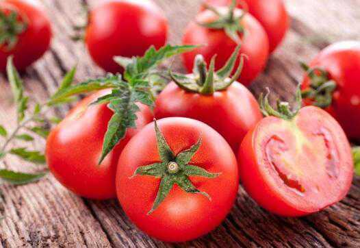 西红柿和番茄的区别 柿子和西红柿和番茄的区别