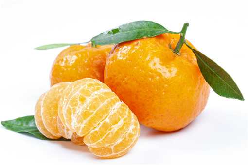 种橘子一般多久能结果（种橘子一般多久能结果呀）